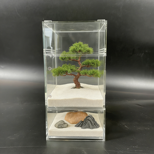 Grand pot géométrique moderne en acrylique pour plantes succulentes, mousse et plantes aériennes – Décoration de table pour la maison - Product Image 6