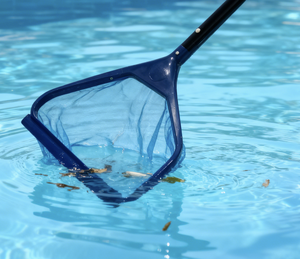 Red Recolectora de Hojas para <span class=keywords><strong>Piscina</strong></span> Blue Angel, Herramienta de Limpieza con Marco de PE para Piscinas, Hojas - Product Image 2