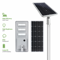 Lampadaire Solaire LED Extérieur en Aluminium Pur IP65 Étanche avec Batterie LiFePO4 et Contrôleur MPPT, Garantie 3 Ans