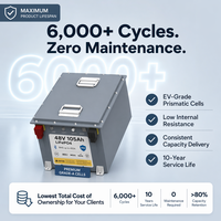 Pasokan Langsung Pabrik Baterai Lithium Ion 48V 100Ah 150Ah untuk Golf Cart, Bebas Perawatan, untuk Distributor Daya Luar Negeri