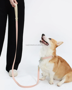 Hochfester Lavendel blau Aqua Wasserdichte Hunde jagd halsband Leine Robuster PVC Vinyl beschichteter Nylon-Schnell verschluss kunststoff - Product Image 4