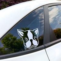 Autocollants de voiture en vinyle découpés sur mesure, résistants aux UV et imperméables, pour vitres de véhicule, effet 3D