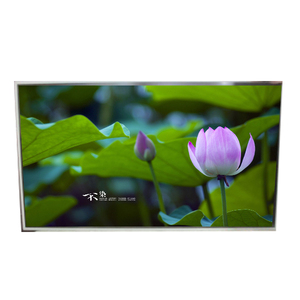 LD490EPN-UKH1 Nueva Pantalla LCD WLED de 49.0 Pulgadas y 1920*1080 - Product Image 1