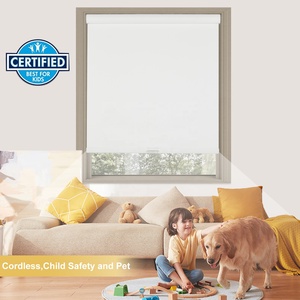 Customized Commercial Motorized <strong>Curtain</strong> Blinds,Battery Powered Motorized Smart Blinds For Home Hotel Project - Product Image 2