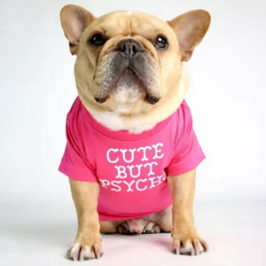 Camiseta con Estampado de Perrito para Perros Pequeños, Ropa para Mascotas de Primavera y Otoño, Camisetas para Schnauzer y Pug, Sudadera, Disfraz para Mascotas - Product Image 4