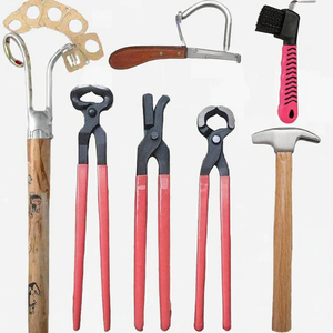 Kit d'outils de ferrage pour le soin des sabots de chien avec coupe-ongles, marteau, lime et brosse – Équipement vétérinaire durable - Product Image 3