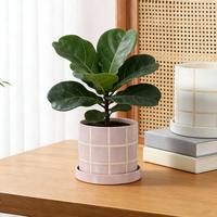 Décoration d'intérieur et de jardin, pots à plantes succulentes vertes à carreaux, emballage en carton, pot en céramique