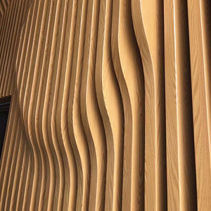 Conception personnalisée de forme carrée irrégulière pour les plafonds et les murs extérieurs des bâtiments - Product Image 4