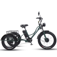 Tricycle électrique russe Spot Cheetah de 24 pouces avec pneus larges et assistance au pédalage, pneus tout-terrain