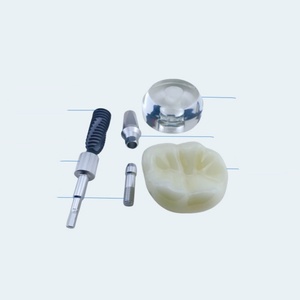 Modelo Dental Transparente para Comunicación Manual entre Médico y Paciente, Implante de Cristal, Accesorios para Terapia Oral, Certificado CE - Product Image 2