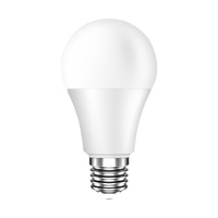 Ampoule LED haute puissance 9 W 20W 40W E27 Ampoules LED à corps en aluminium étanche