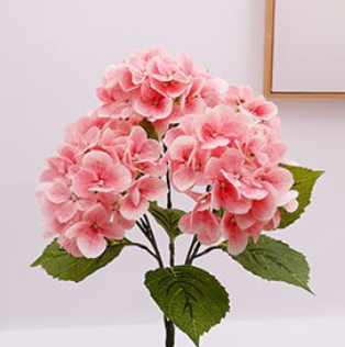 ชมพูเข้ม