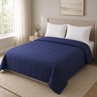 Couverture lestée matelassée en coton moelleux, épaisse, douce, chaude, respirante, plusieurs options de couleurs, poids et taille personnalisables pour hôpital et hôtel