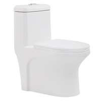 WC monobloc moderne de fabrication chinoise pour salle de bain