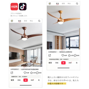 Ceiling Fan Light With Led Light Fixed Blade Flush Mount For Living Room Bedroom 220V 5-10M Irradiation Area - Product Image 2