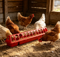 Mangeoire à bascule classique pour poussins et volailles, durable, à bords lisses, pour animaux de ferme, avec 12/18/28 ouvertures, pour grange, utilisation fiable