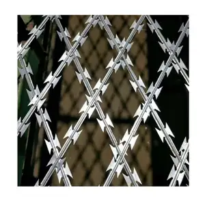 Lows Prices Prison Mesh Fence Hot Dipped Galvanized Galvanized Razor Barbed Wire