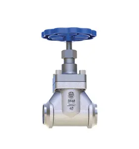 cryogenic short stem globe valve CE TSF Certificate DJ-40G