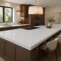 Série Linéaire Blanche Certifiée CE, Grande Dalle de Quartz Moderne DBS Duobaoshi, Garantie 5 Ans, pour Sol, Plateau de Table, Plateau de Lavabo, Mur, Intérieur