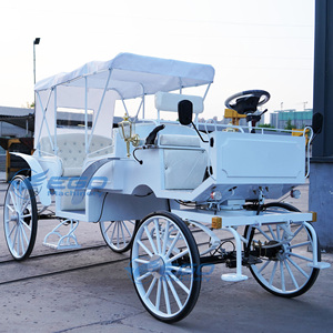 Carrosses de Mariage Électriques Spéciaux pour Visites Touristiques, Prix Usine, Transport de Luxe, à Vendre - Product Image 3