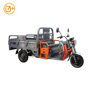 2025 Neues Modell EEC COC 2000W 3000W 72V Fracht-Dreirad Leistungs starker Muster bestell test - Product Image 4