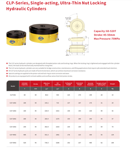 Actionneurs hydrauliques compacts VIT-W CLP-1002 à haute efficacité pour systèmes de pressage de batteries de véhicules électriques - Product Image 2