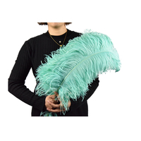 Plumas 60cm 65cm Vente en gros Fourniture naturelle DIY Craft Al South Africa Plumes pour la décoration intérieure Fête