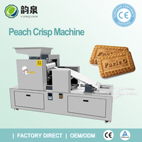Machine à former les biscuits et les gâteaux YQ - Production continue, utilisation commerciale en boulangerie, matières premières farine et lait, 220v/380v