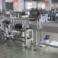 Carton automatique remplissage fermeture et emballage machine cartonneuse