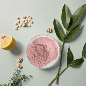 Чистая природа Acerola Вишневый экстракт сока фруктовый порошок 5% VC - Product Image 2