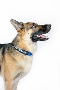 Aanpasbare Tactische Hondentuigje Zware Nylon Verstelbare Reflecterende Patrouille Trainingsuitrusting - Product Image 6