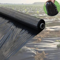 Ecologisch verantwoorde landbouw mulchfolie, grondbedekking tegen onkruid, houdt de bodemvochtigheid vast voor landbouwgewassen, fruitbomen en groenten.