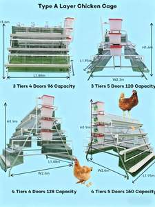 <span class=keywords><strong>Gallinero</strong></span> <span class=keywords><strong>tipo</strong></span> caja para gallinas ponedoras, con bebederos y piso, para cría de pollos - Product Image 6