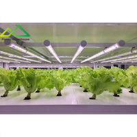 Système de culture hydroponique modulaire multi-niveaux de grande taille |   Solution d'agriculture verticale haute densité, structure en acier galvanisé à chaud