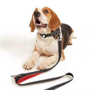 Pelacak posisi hewan peliharaan kerah AirTag tahan karat tebal sabuk gesper pelacak anjing kerah tali anjing Set Aksesori berjalan luar ruangan - Product Image 6