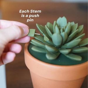 Planta Suculenta Artificial Impresa en 3D con Tecnología de Impresión por Impulsos - Product Image 2