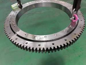 포트용 맞춤형 하이 퀄리티 대형 선봉 베어링 - Product Image 3