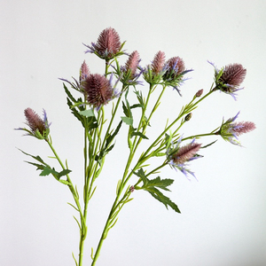 Simulation de fleur artificielle de bonne qualité, 10 têtes, <span class=keywords><strong>Eryngium</strong></span> <span class=keywords><strong>Foetidum</strong></span>, décoration florale de salon - Product Image 1