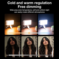 Lumière d'appoint U40 40W portable, longue autonomie, LED de poche, lumière de bureau, vidéo, vlog, caméra, téléphone, selfie, lumière d'appoint