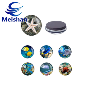 Meishan แม่เหล็กติดตู้เย็นทรงกลมแบบแม่เหล็กติดตู้เย็นรูปเต่าและปลาดาวทำจากเรซินทาง<span class=keywords><strong>ทะเล</strong></span>ทำจากเรซินสังเคราะห์ทนทานผลิตตามสั่งขายดีที่สุด - Product Image 5