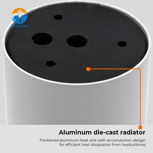 Venta Directa de Fábrica: Luminaria LED COB Moderna de Aluminio Fundido a Presión, Montaje en Superficie, 10W-30W - Product Image 5