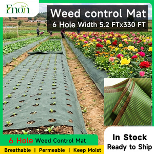 Telo Pacciamante in PP a 6 Fori, 1,58m x 100m, per Serra Agricola, Controllo Erbacce, per la Coltivazione di Rose, Tulipani e Gigli - Product Image 1