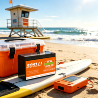 Batterie LiFePO4 rechargeable 12V 4Ah 7Ah 8Ah 12Ah 20Ah pour pompe de gonflage de plage, batterie à décharge profonde avec BMS intégré