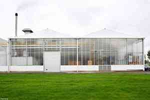 Chuyên gia xây dựng nhà kính nhà kính lớn nhịp nhà kính nông nghiệp, quy hoạch tùy chỉnh, thiết kế và hướng dẫn xây dựng - Product Image 5