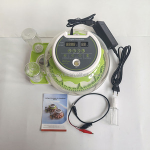 TUOYUN Precio <span class=keywords><strong>Sorpresa</strong></span> 8 1 Año Incubadoras para <span class=keywords><strong>Huevos</strong></span> Incubar Mini Incubadora de <span class=keywords><strong>Huevos</strong></span> Totalmente Automática - Product Image 4