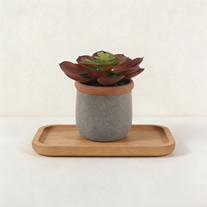 ต้นบอนไซประดิษฐ์รูปดอก<span class=keywords><strong>บัว</strong></span>อีเชเวเรียในกระถางเซรามิก ทนทาน ใช้ตกแต่งห้องนั่งเล่น - Product Image 3