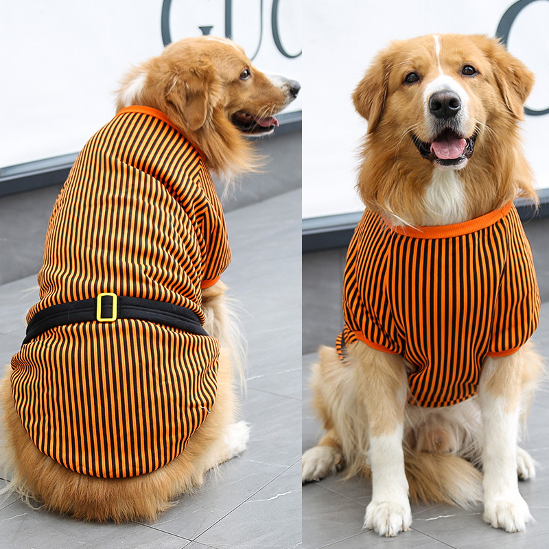 Ceinture noire à rayures orange et noires pour gros chien