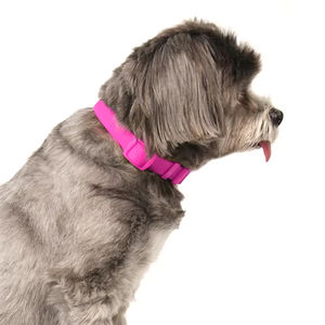 Collier et laisse pour chien en PVC de luxe sur mesure, logo personnalisé, multicolore, vert, bleu, revêtement en silicone imperméable - Product Image 4