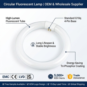 ไฟเพดาน LED ทรงกลมแบบดั้งเดิม 22W 6000K แสงขาวโทนเย็น T9 หลอดไฟ LED ทรงกลม ประหยัดพลังงาน และหลอดฟลูออเรสเซนต์ - Product Image 1