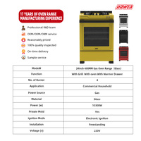 Haute qualité 24 pouces 600mm autoportant 4 trous Lp américain gaz électrique Propane four de luxe cuisinière 4 brûleurs avec four